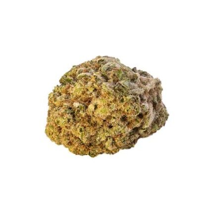 Blue Cheesecake Strain