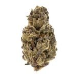 Buy Gelato Strain UK