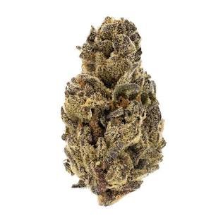 Buy Gelato Strain UK