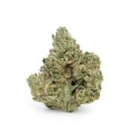 Gorilla Glue