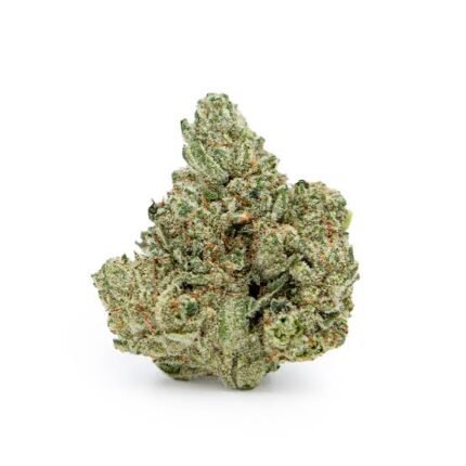 Gorilla Glue