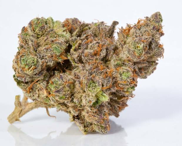 Buy Stardawg Strain UK