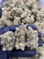 Buy Gorilla Glue UK