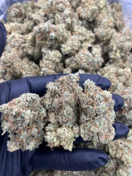 Buy Gorilla Glue UK