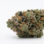 Premium Wedding Cake Strain