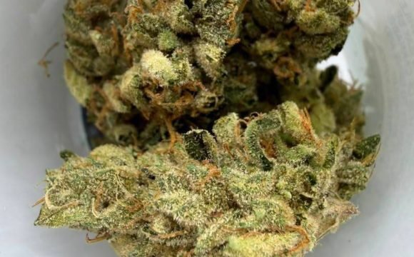 Budshopuk